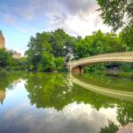 NYC: Private Tour Secrets of Central Park - The Sum Up
