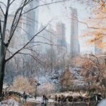 NYC Private Walking Tour with Professional Guide - A Closer Look: What to Expect from Your NYC Private Walking Tour