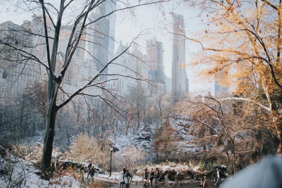 NYC Private Walking Tour with Professional Guide - A Closer Look: What to Expect from Your NYC Private Walking Tour