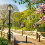 NYC: Sightseeing Day Trip with Statue of Liberty Visit - The Value Proposition