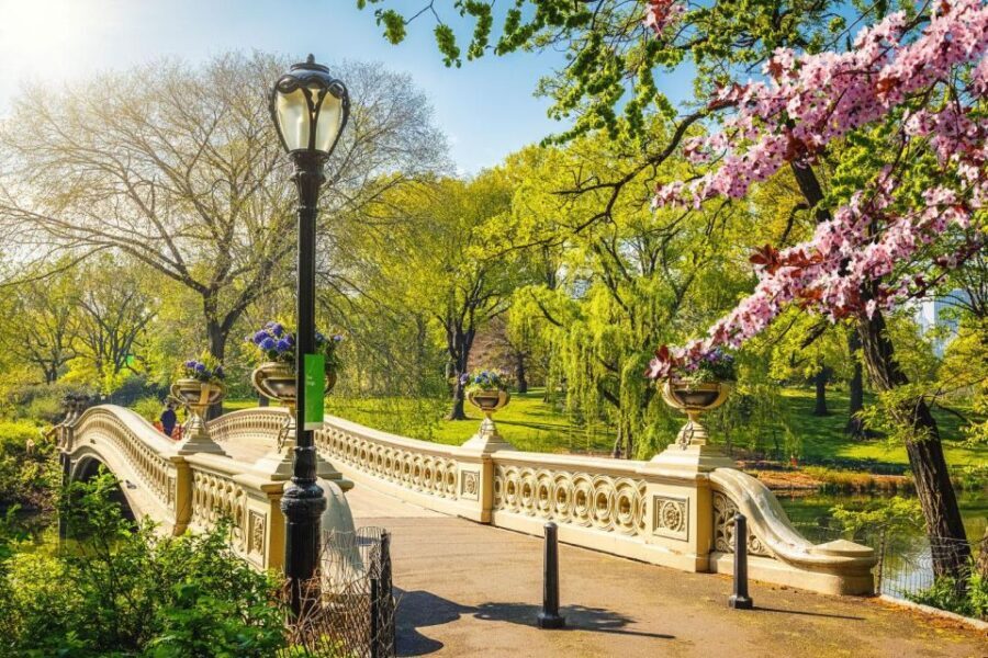 NYC: Sightseeing Day Trip with Statue of Liberty Visit - The Value Proposition
