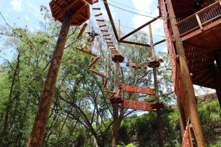 Oahu: Aerial Adventure, Climbing, & Freefall Experience - Practical Tips for Making the Most of Your Tour