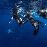 Oahu: Cageless Shark Dive Adventure - Who Should Consider This Tour?