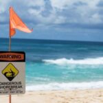 Oahu: Circle Island Day Trip with Shrimp Plate Lunch - The Practical Side: What You Need to Know