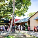 Oahu Circle Island Tour with Byodo-In Temple Admission - A Deep Dive into the Oahu Circle Island Tour