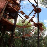 Oahu: Coral Crater Aerial Challenge Course - A Close Look at the Coral Crater Aerial Challenge Course