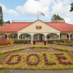 Oahu: Dole Plantation & Haleiwa Express Deluxe Tour - Why This Tour Offers More Than Just Sightseeing