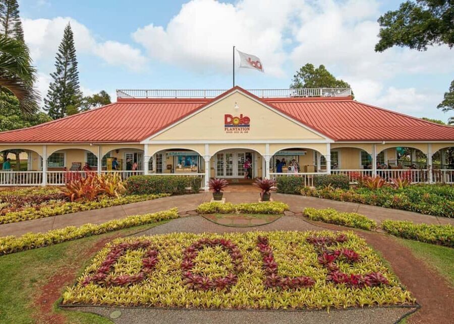 Oahu: Dole Plantation & Haleiwa Express Deluxe Tour - Why This Tour Offers More Than Just Sightseeing