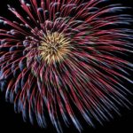Oahu: Friday Night Fireworks Sail from Hilton Hawaiian Pier - Who Would Enjoy This Tour?
