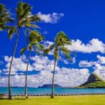 Oahu: Grand Circle Island Tour with Haleiwa - Final Thoughts