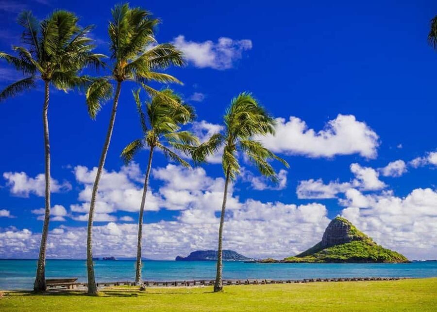Oahu: Grand Circle Island Tour with Haleiwa - Final Thoughts