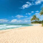 Oahu: Guided Tour of North Shore and Waimea Botanical Garden - The Itinerary Breakdown: What You Can Expect