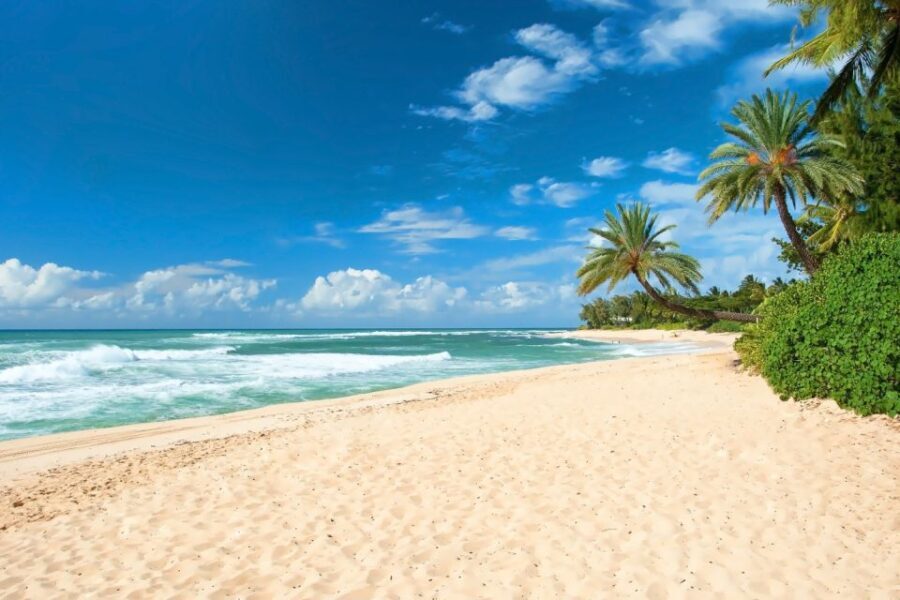 Oahu: Guided Tour of North Shore and Waimea Botanical Garden - The Itinerary Breakdown: What You Can Expect