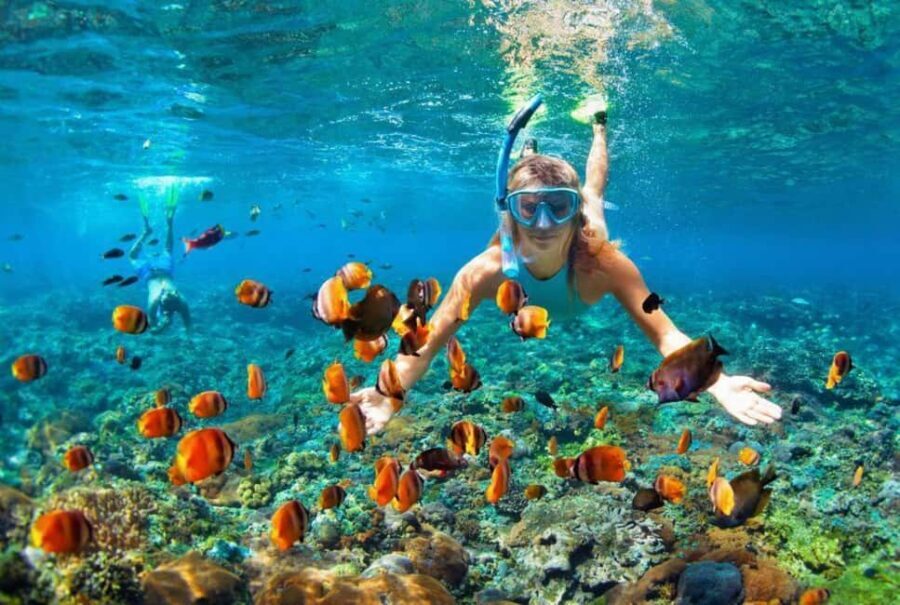 Oahu: Hawaii Grand Circle Island Tour - Why This Tour Works for Travelers