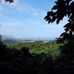 Oahu Hidden Waterfall Hike: A Tropical Paradise Adventure - Final Thoughts