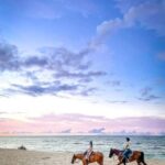 Oahu: Horseback Riding Tour on the North Shore - Detailed Breakdown of the Experience