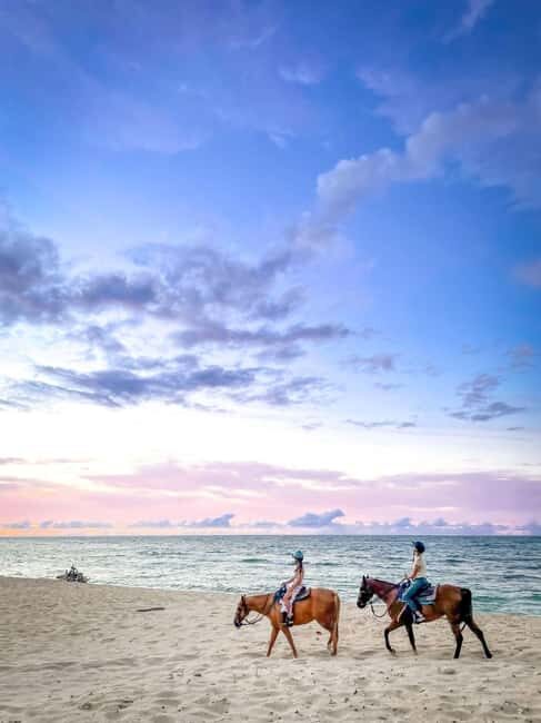Oahu: Horseback Riding Tour on the North Shore - Detailed Breakdown of the Experience