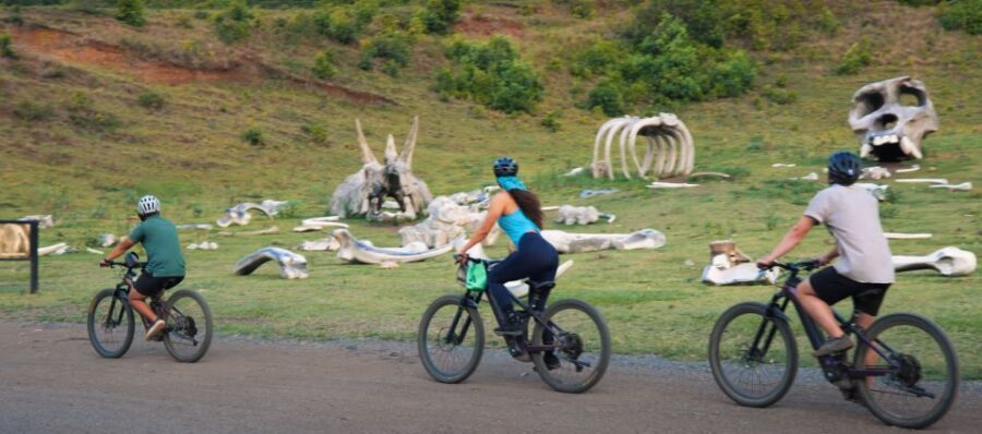 Oahu: Kualoa Electric Bike Tour - Detailed Review of the Kualoa Electric Bike Tour