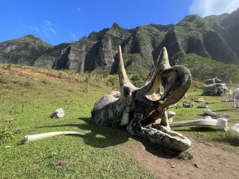 Oahu: Kualoa Movie Sites, Jungle, and Buffet Tour Package - What Travelers Say