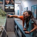 Oahu: Kualoa Ranch Hollywood Film Locations Tour - What You’ll See and Do