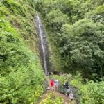 Oahu: Manoa Valley Private Hiking Trip & Waterfall - An In-Depth Look at Your Manoa Valley Adventure