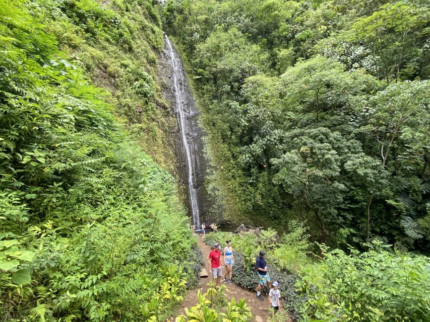Oahu: Manoa Valley Private Hiking Trip & Waterfall - An In-Depth Look at Your Manoa Valley Adventure