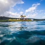 Oahu: North Shore Marine Life Tour from Haleiwa - The Sum Up
