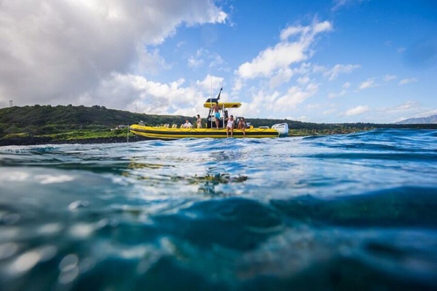 Oahu: North Shore Marine Life Tour from Haleiwa - The Sum Up