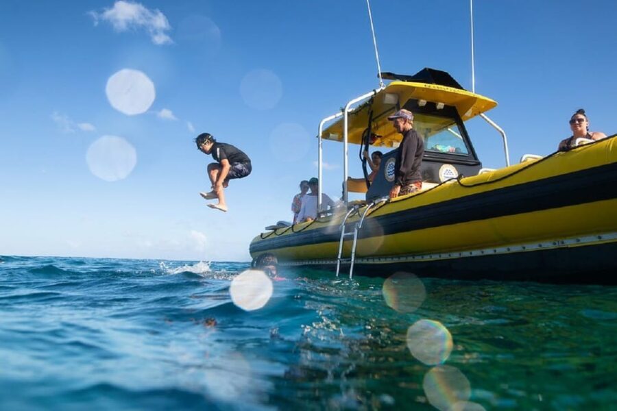 Oahu: North Shore Snorkeling Tour from Haleiwa - In-Depth Review of the North Shore Snorkeling Tour