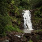 Oahu: North Shore Waterfall Swim - Why This Tour Stands Out