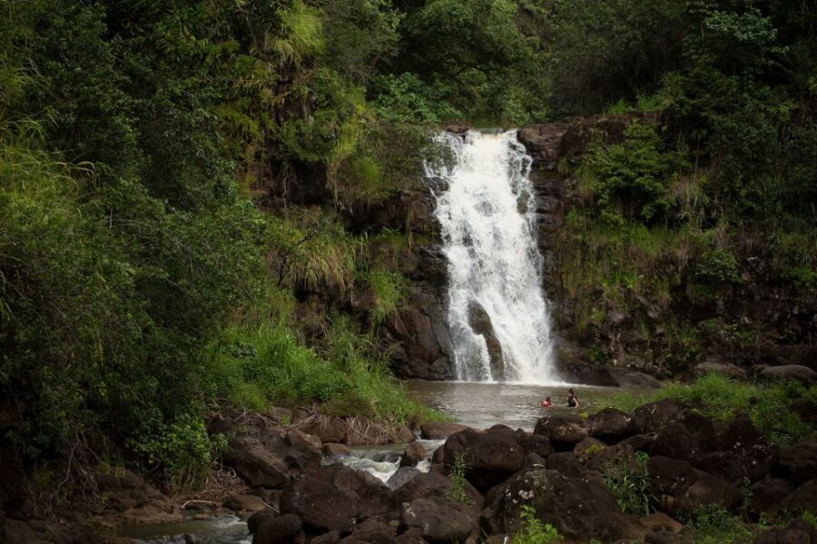 Oahu: North Shore Waterfall Swim - Why This Tour Stands Out