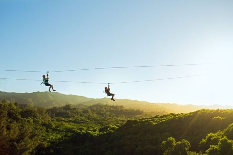 Oahu: North Shore Zip Line Adventure with ATV and Farm Tour - A Deep Dive into the North Shore Zip Line Adventure