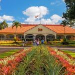 Oahu: Oahu Ultimate Grand Circle Island Tour - Authentic Insights from Travelers
