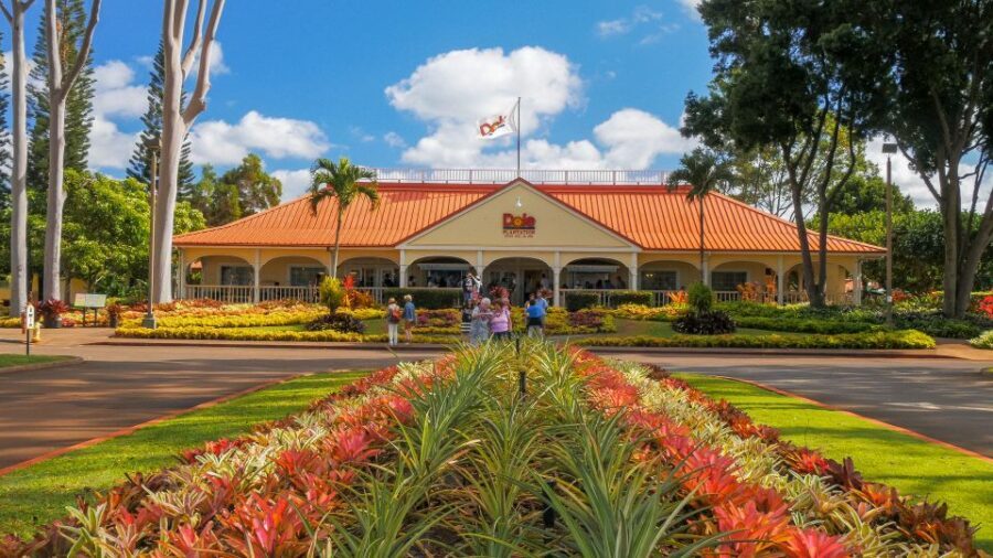 Oahu: Oahu Ultimate Grand Circle Island Tour - Authentic Insights from Travelers