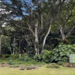 Oahu Private Tour North Shore, Waimea Falls and Dole Plantation - FAQ: Your Questions Answered