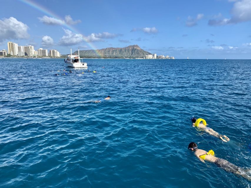 Oahu: Private Turtle Snorkeling with Customizable Itinerary - Final Thoughts