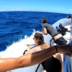 Oahu: Private Whale Watching Adventure - Who Should Consider This Tour?