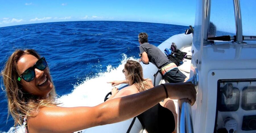 Oahu: Private Whale Watching Adventure - Who Should Consider This Tour?