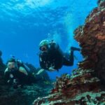Oahu: Shallow Reef Scuba Dive for Certified Divers - A Deep Dive into the Experience