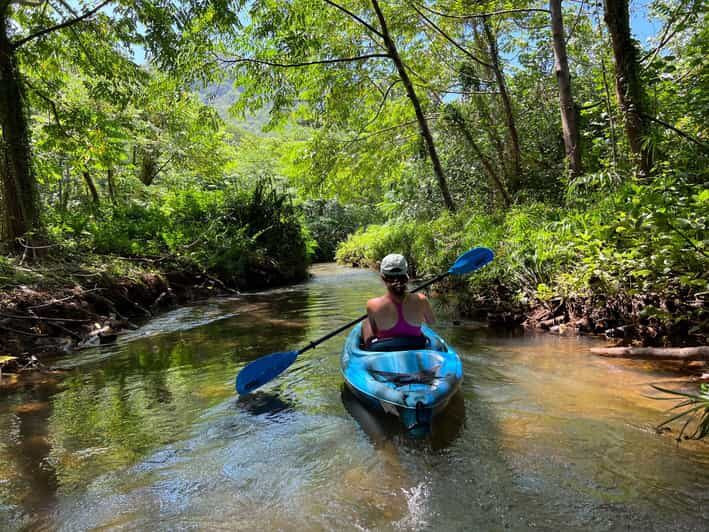 Oahu: Single & Double Kayak 3-Hour River Rental - Authentic Experiences From Reviews