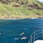 Oahu: Snorkel Adventure in Marine Sanctuary - Key Points