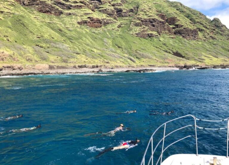 Oahu: Snorkel Adventure in Marine Sanctuary - Key Points