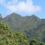 Oahu Volcanic Rainforest Hiking Adventure - Who Should Take This Tour?