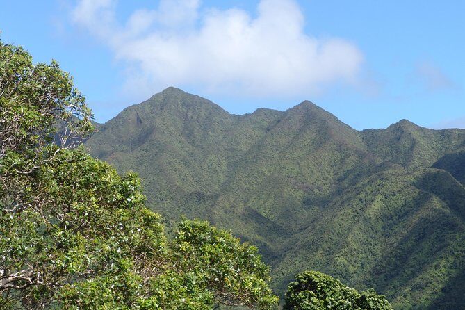 Oahu Volcanic Rainforest Hiking Adventure