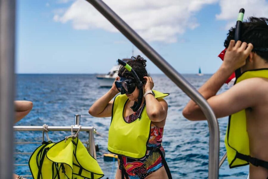 Oahu: Waikiki Turtle Snorkel Sail - Final Thoughts: Who Should Sign Up?