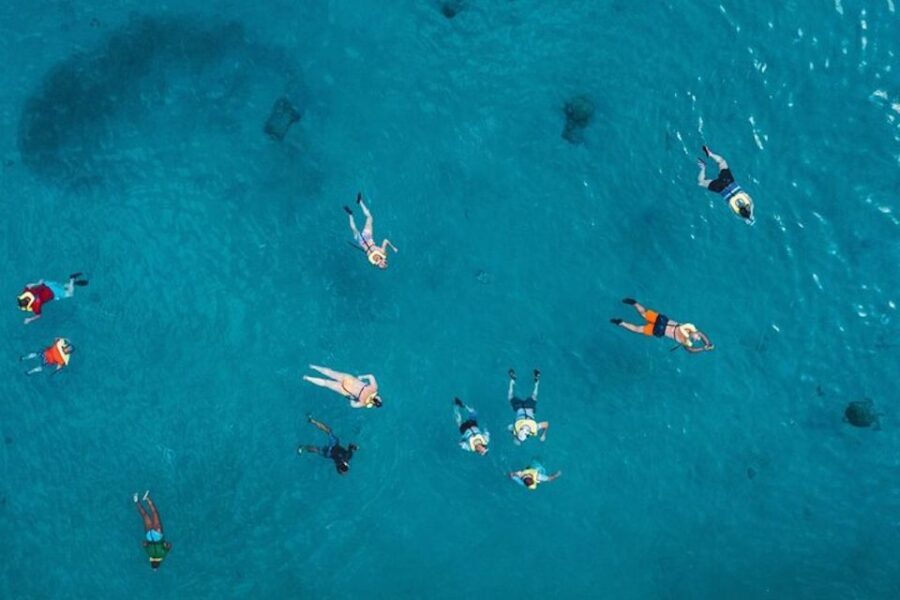 Oahu: Waikiki Turtle Snorkeling Adventure Cruise - Who Will Love This Tour?