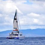 Oahu: Waikiki Whale Watching Cruise - What Makes This Tour Stand Out