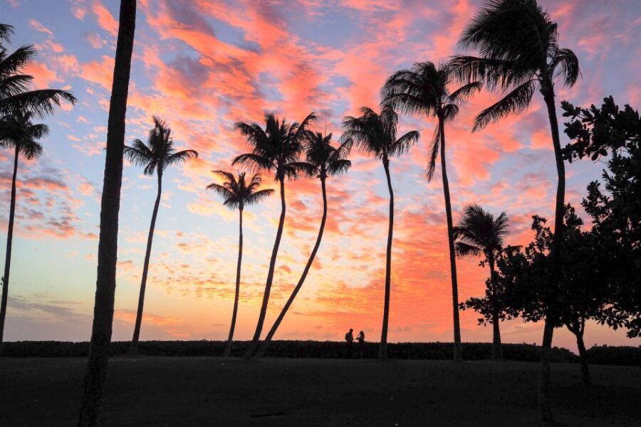 Oahu: West Oahu Sunset Cruise with Cocktails and Appetizers - Who Will Love This Experience?