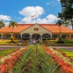 Oahu's Ultimate Grand Circle Island Tour with Snorkeling and More - The Real Value of This Tour