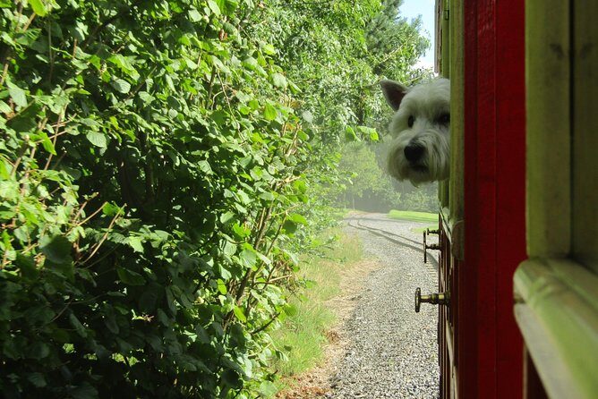Oakfield Park Day Pass and Train Ride - The Sum Up: Why Oakfield Park Is a Worthwhile Stop